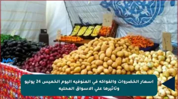 أسعار الخضروات والفواكه في المنوفية اليوم الخميس 24 يوليو وتأثيرها على الأسواق المحلية